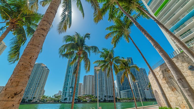 Mete calde in inverno